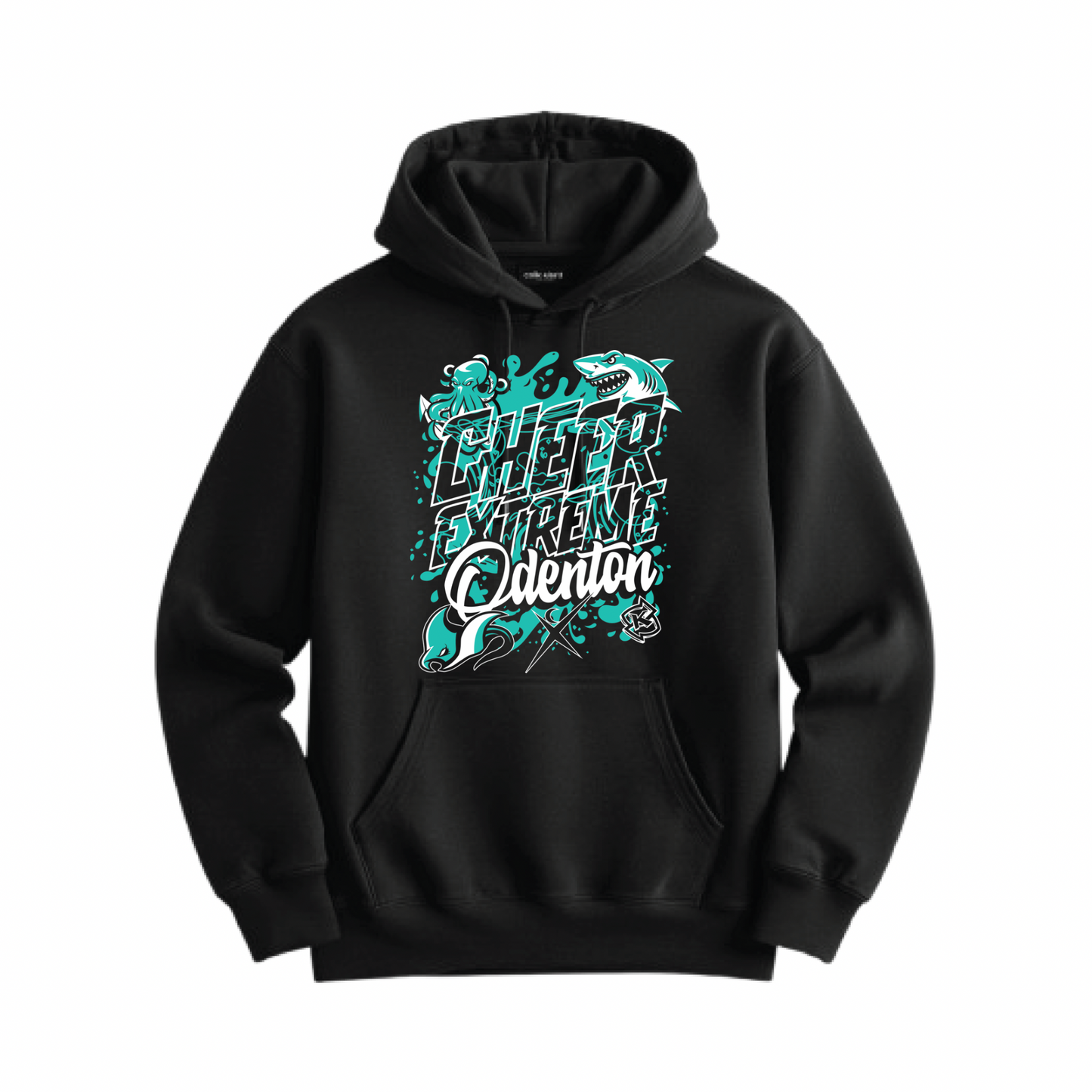 Program Hoodie