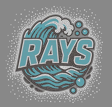 Rays Rhinestone Black Tshirt *