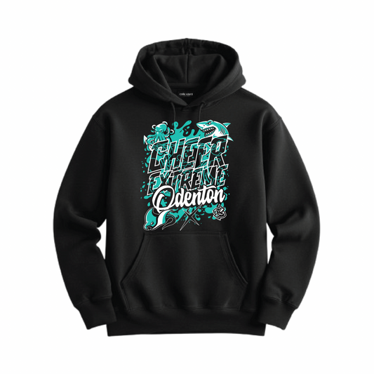 Program Hoodie